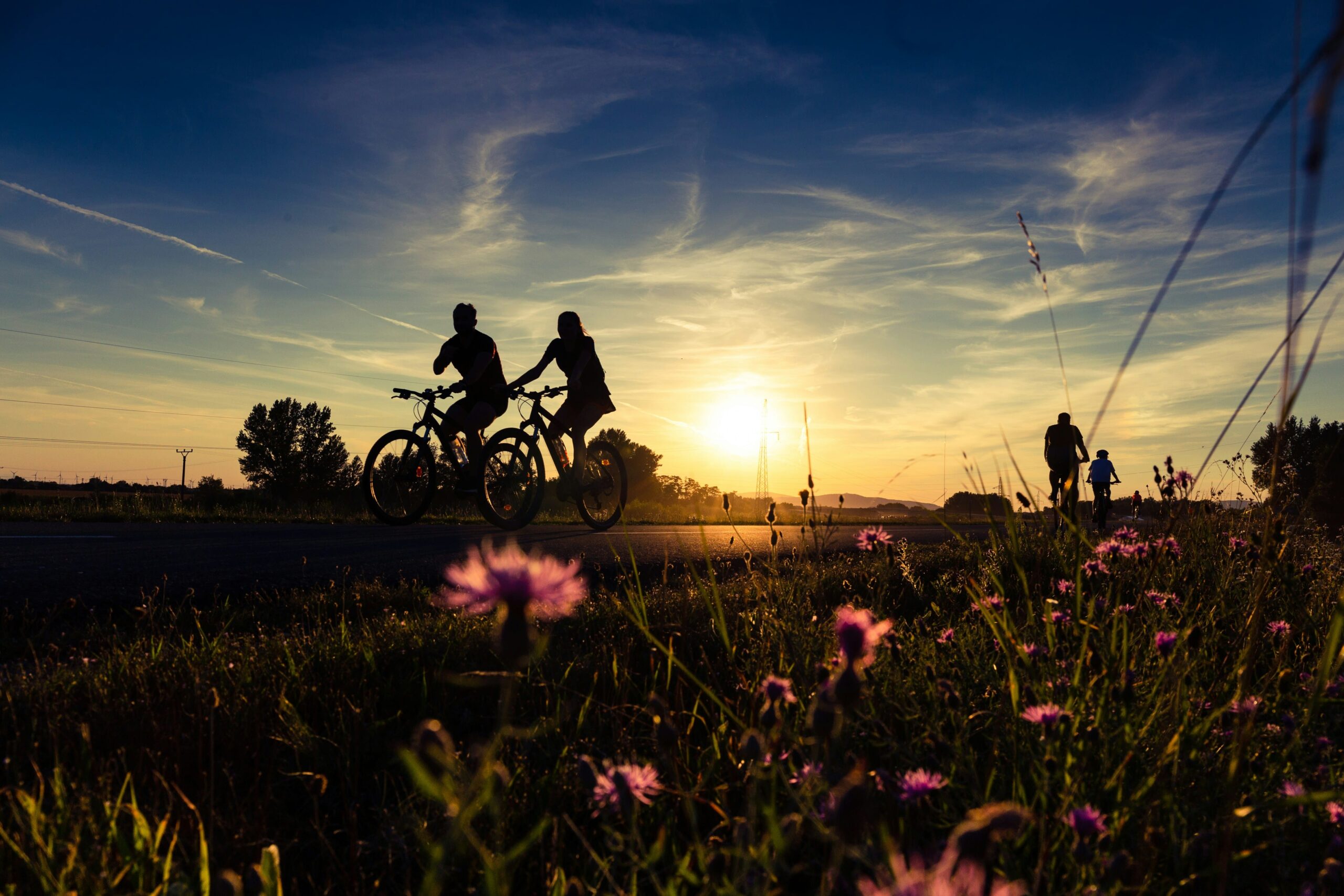 Couple bikes nature flowers sunset