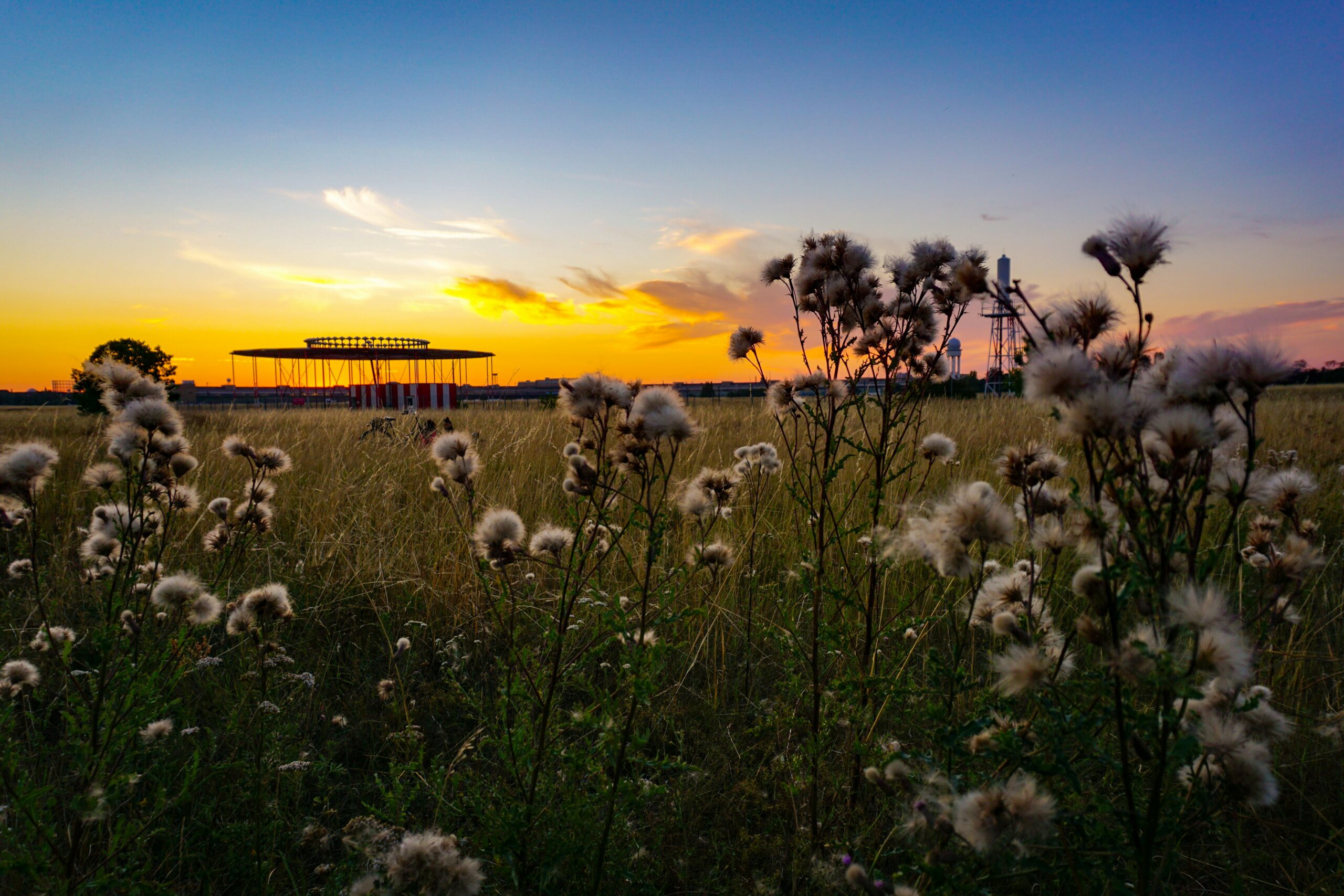 Pistas de descolagem transformadas em céu aberto: no Tempelhofer Feld, a cidade respira e convida a viver devagar.